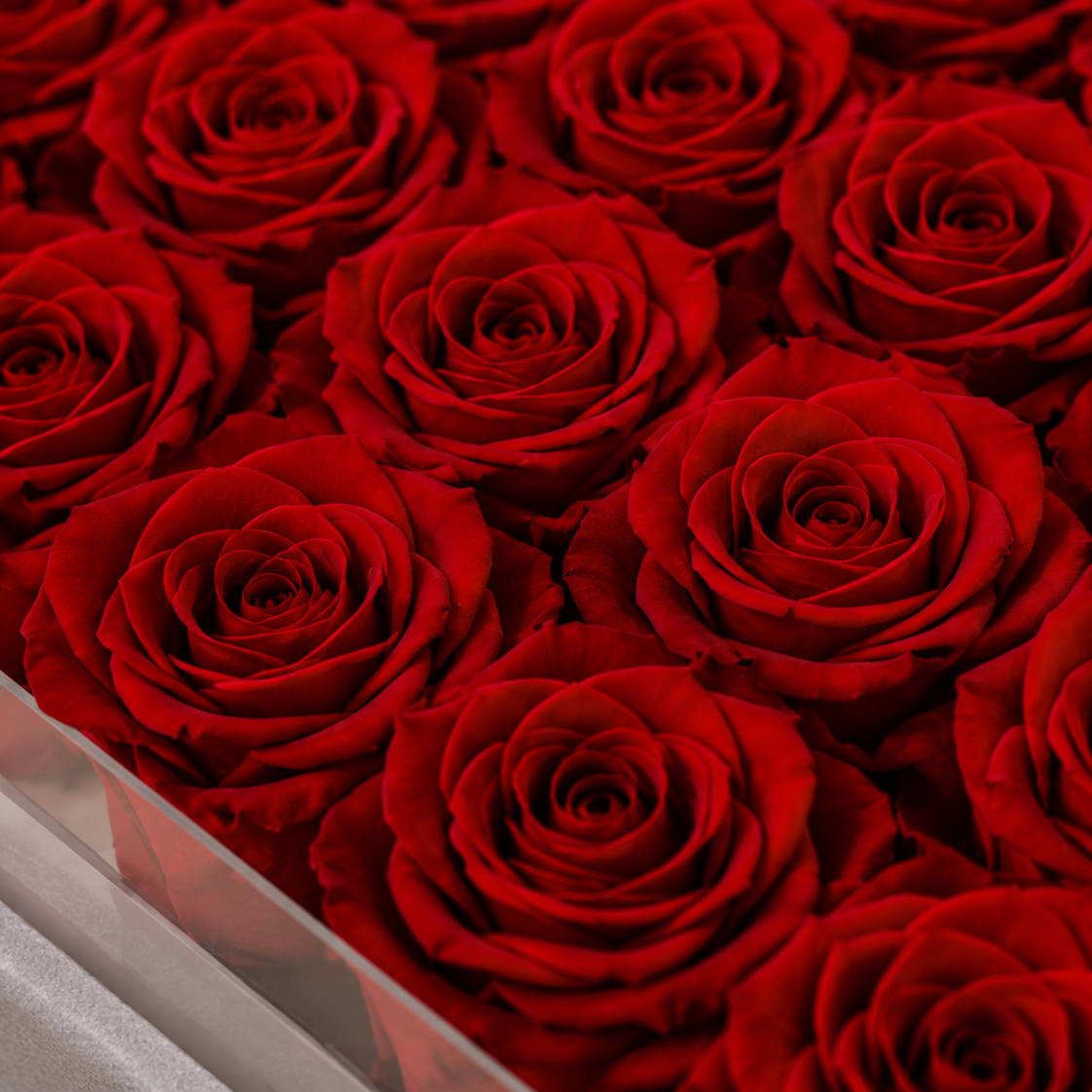25 Roses with Personalised Initial(s)